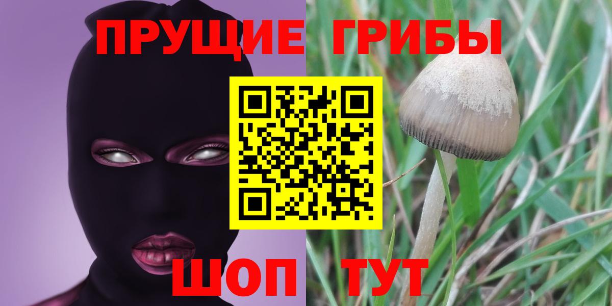 Вольск  Псилоцибиновые грибы GOLDEN TEACHER  Псилоцибиновые грибы Psilocybine cubensis  Вход с VPN 